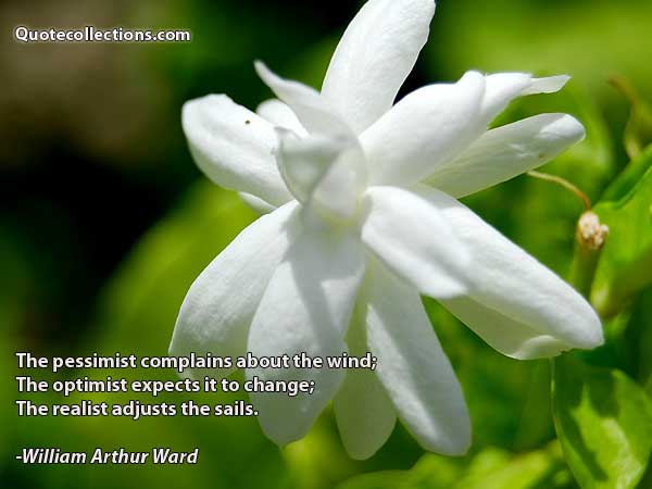 William Arthur Ward Quotes6